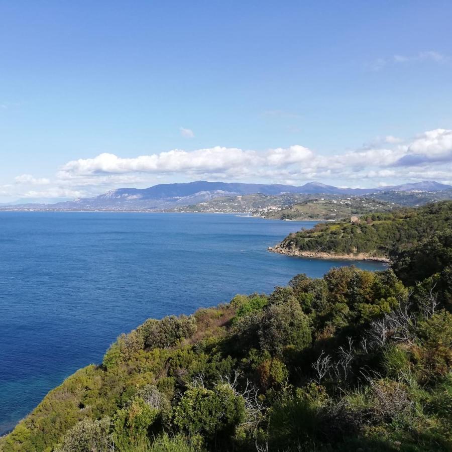Panoramic Apartments In Villa In Center "The Beach And The Cliff" 1 Agropoli Buitenkant foto